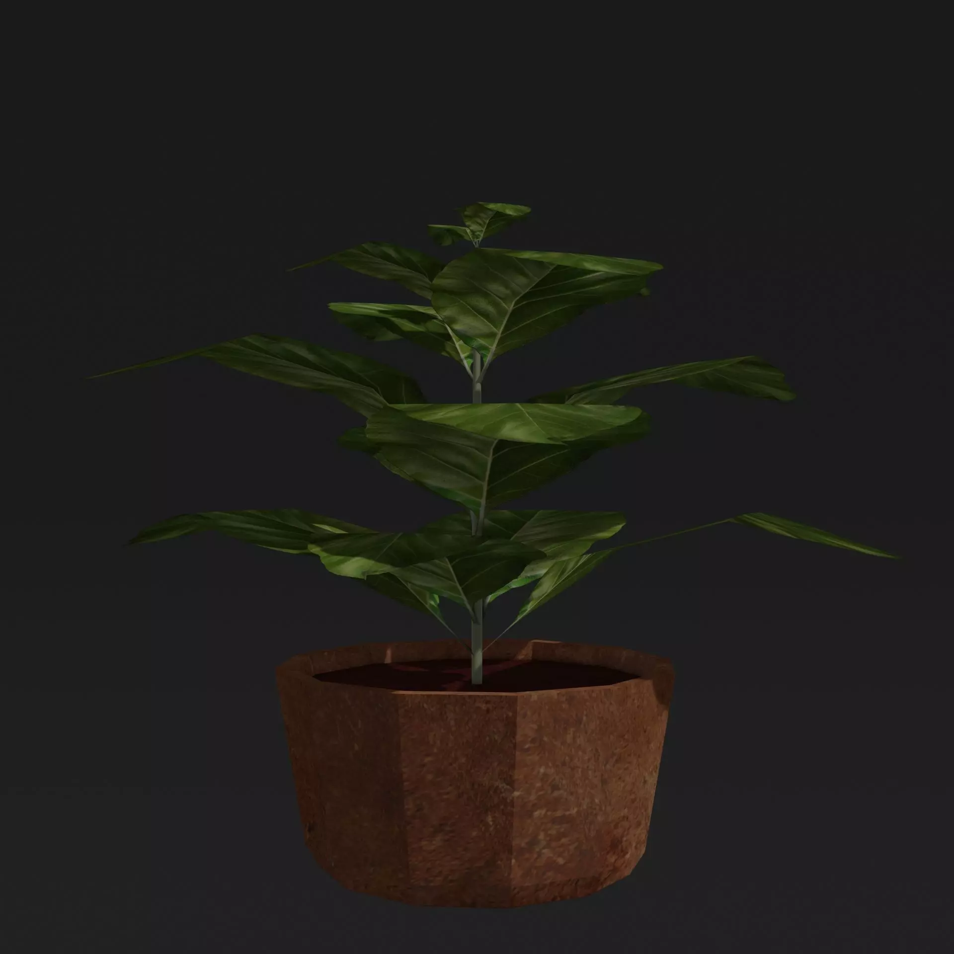 Potted Plant Low-poly 3D model_0