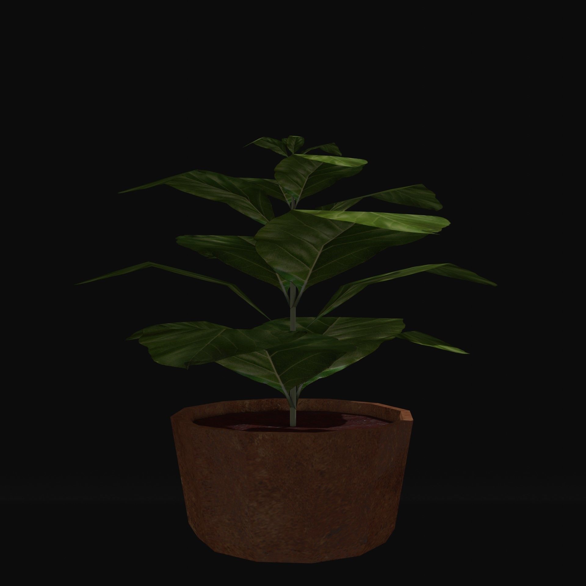 Potted Plant Low-poly 3D model_1
