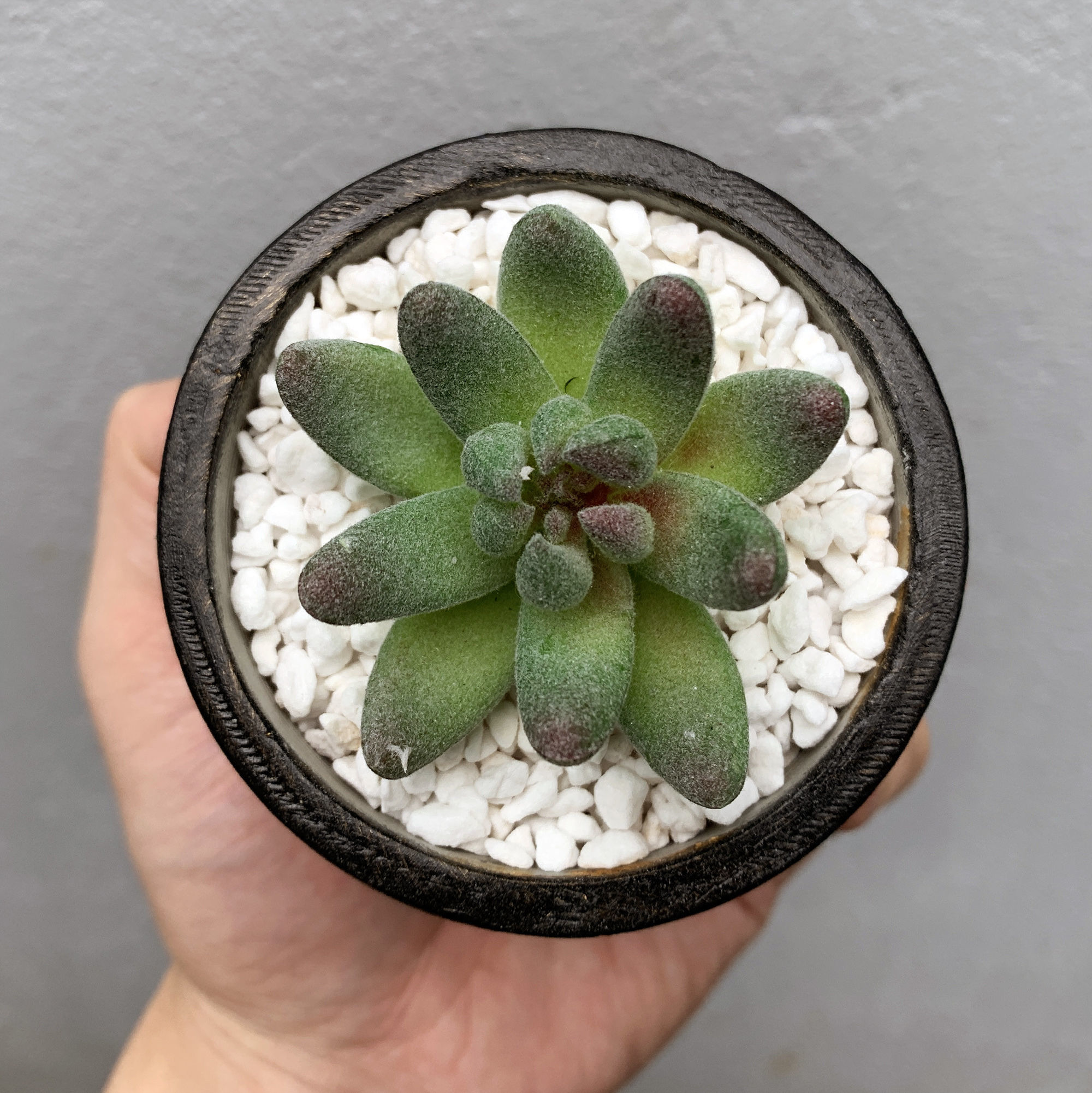 Small stone Pot mold - Include Pot file for print 3D print model_3