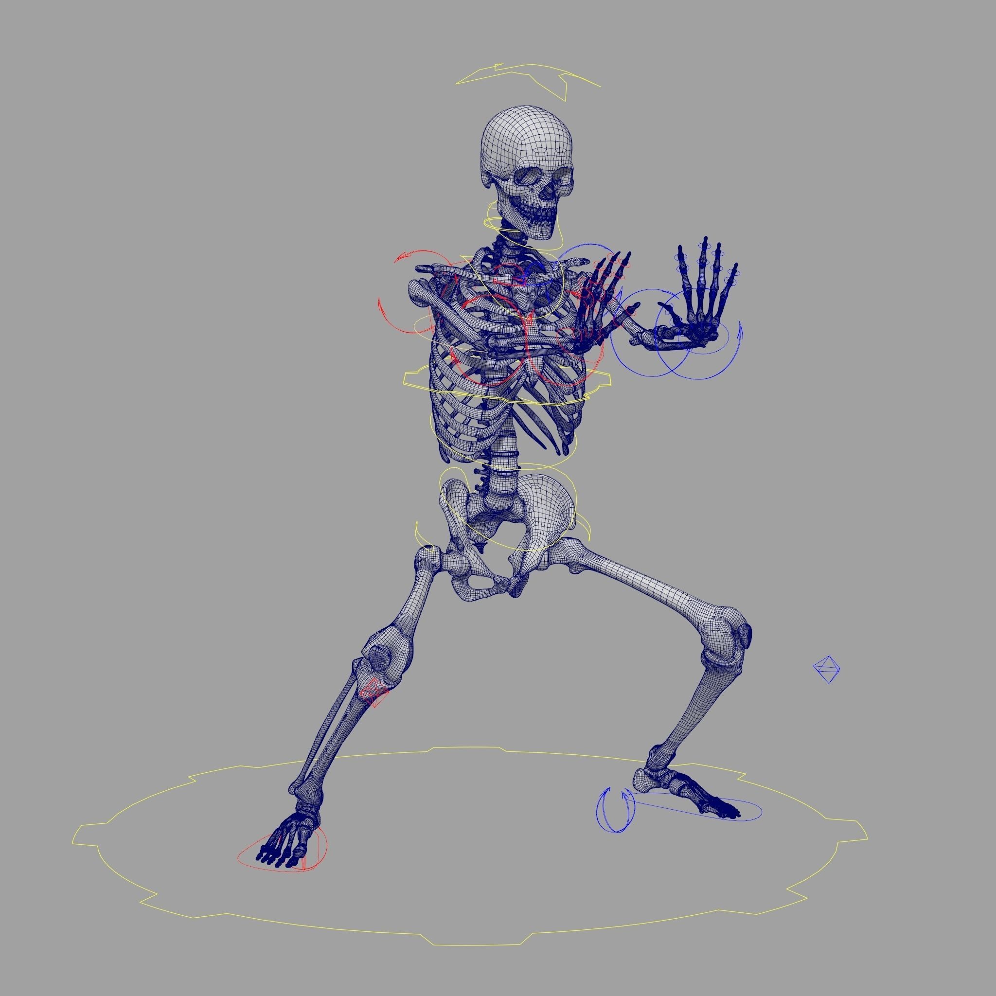 Rigged Skeleton - Skeletal System - Skeleton Rig Low-poly 3D model_8