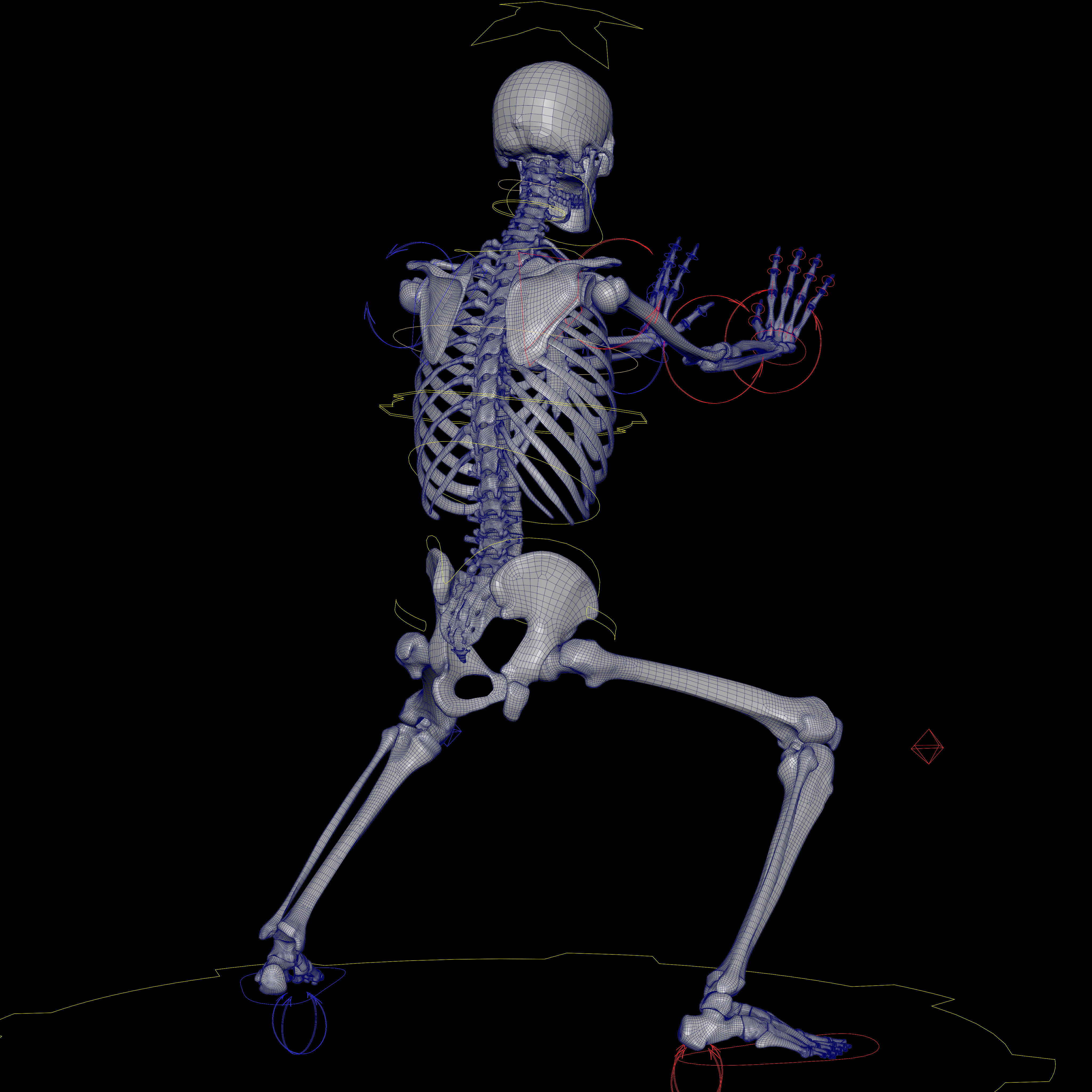 Rigged Skeleton - Skeletal System - Skeleton Rig Low-poly 3D model_67