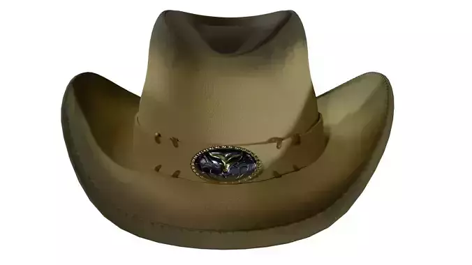 Cowboy hat 3