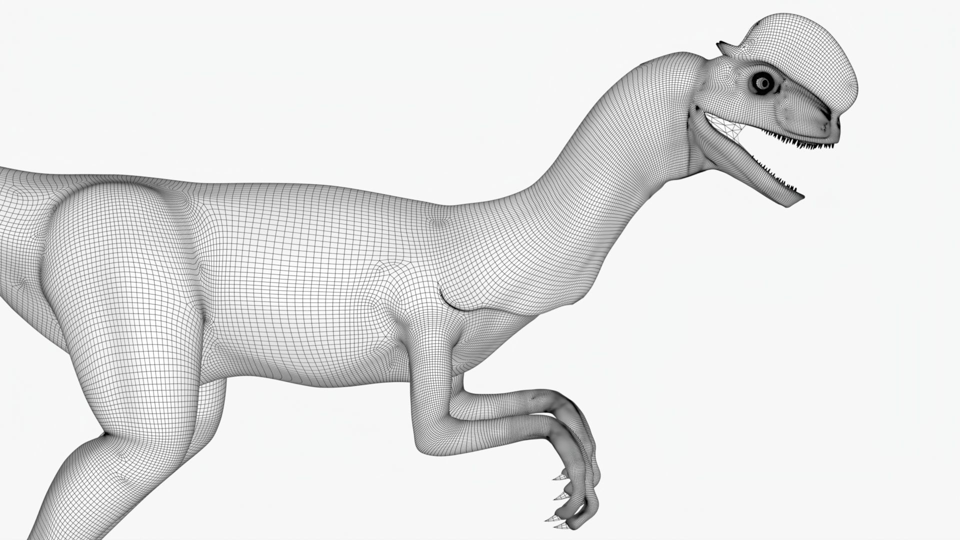 Basic Rigged Dilophosaurus With 4K Textures Low-poly 3D model_6