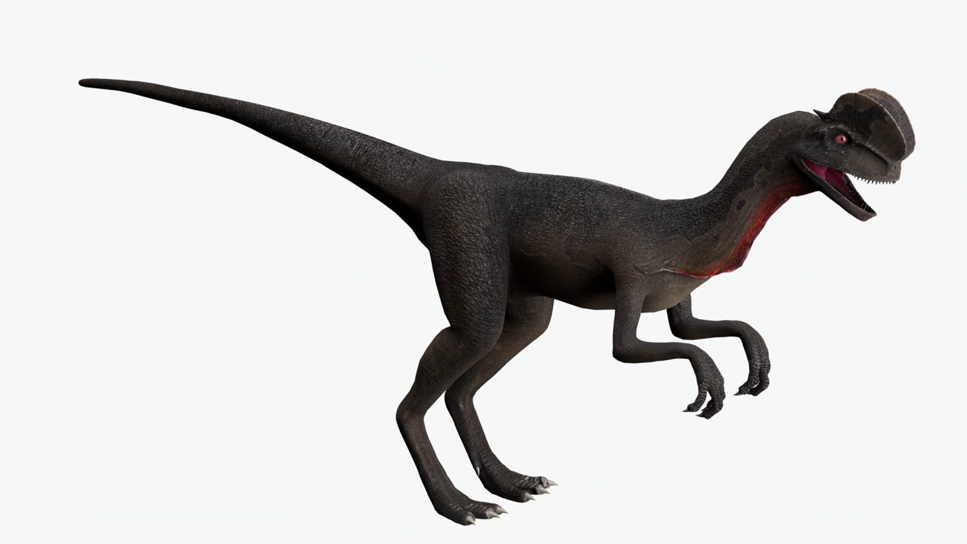 Basic Rigged Dilophosaurus With 4K Textures Low-poly 3D model_2