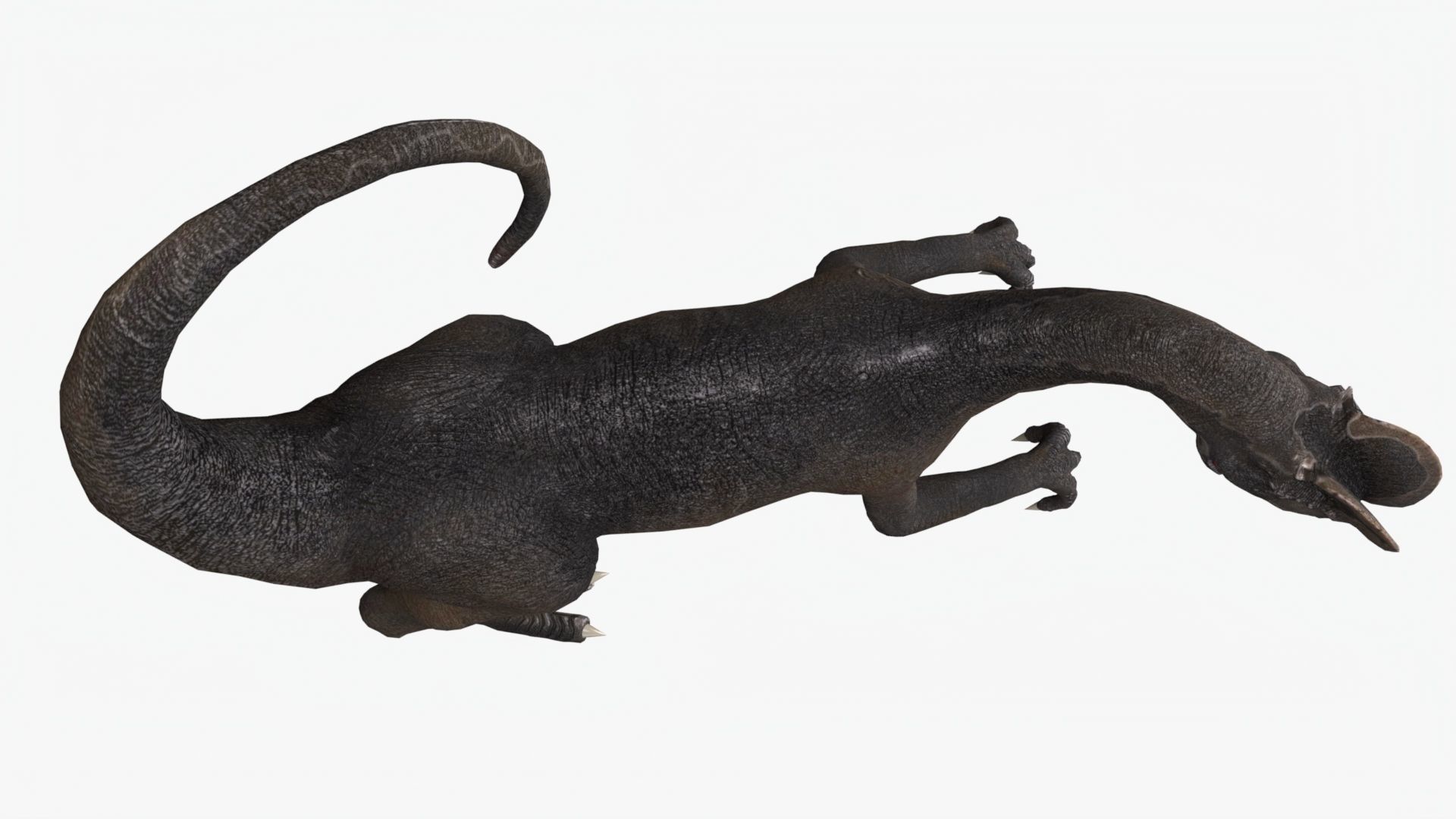 Basic Rigged Dilophosaurus With 4K Textures Low-poly 3D model_3