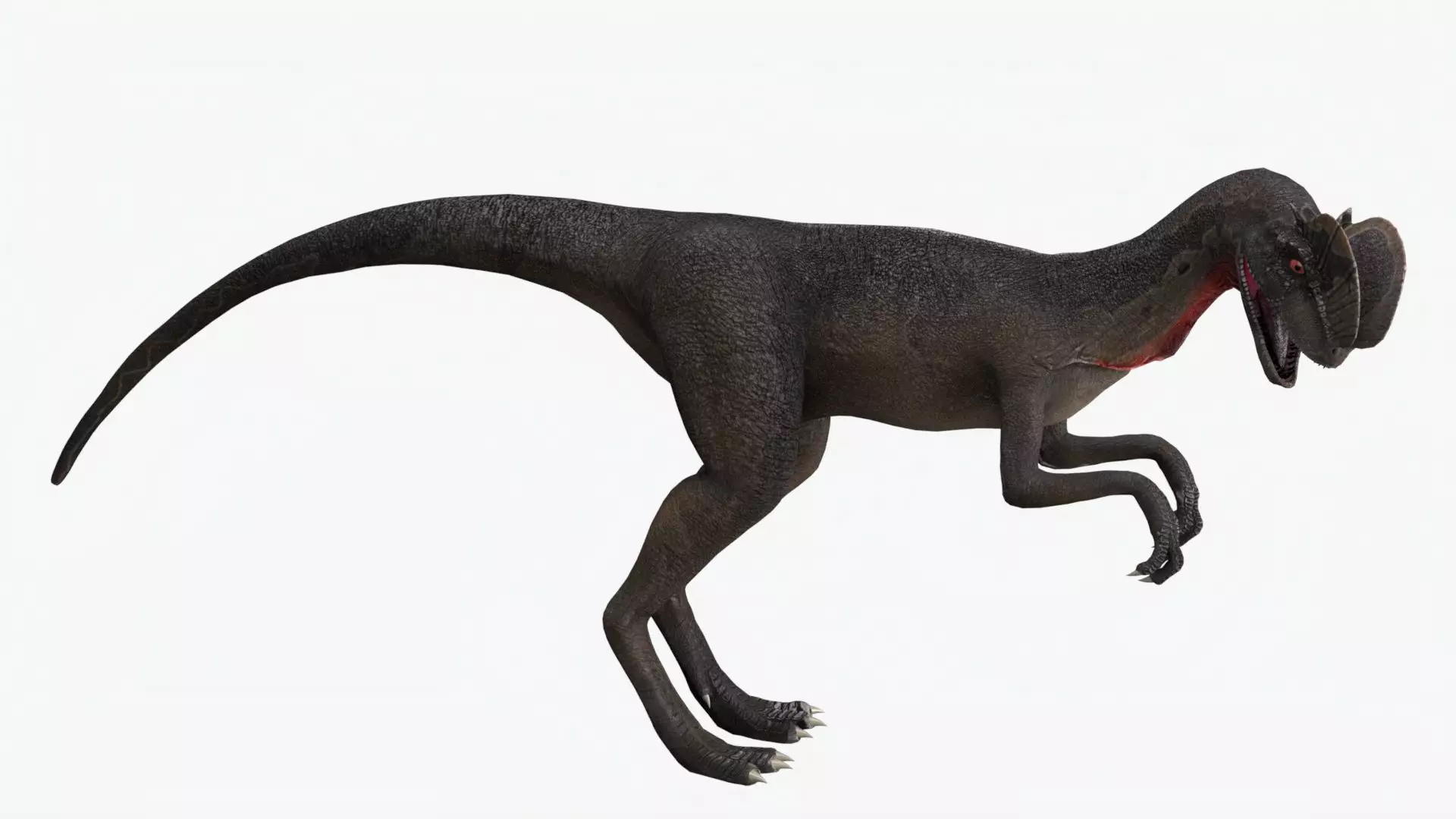 Basic Rigged Dilophosaurus With 4K Textures Low-poly 3D model_0