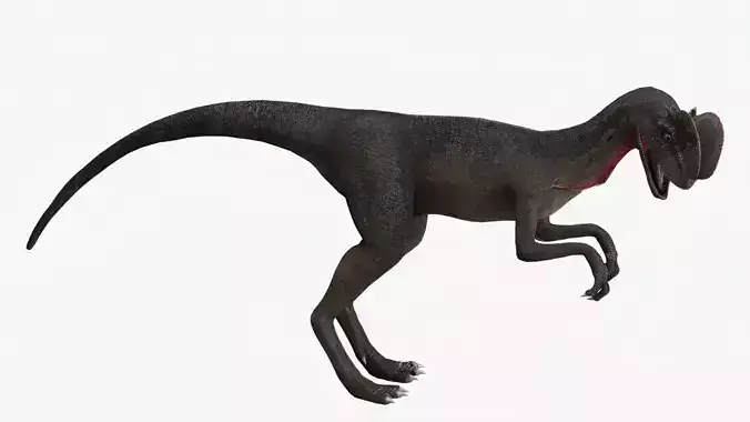 Basic Rigged Dilophosaurus With 4K Textures Low-poly 3D model