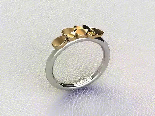 Simple Ring 3D print model