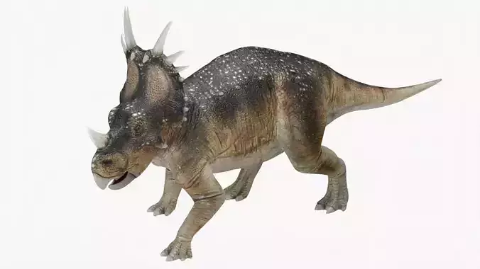 Styracosaurus No rigging 2K textures