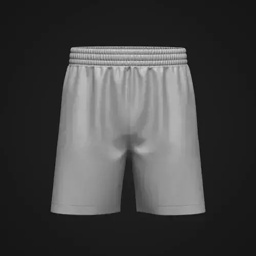 Regular Shorts 3D model