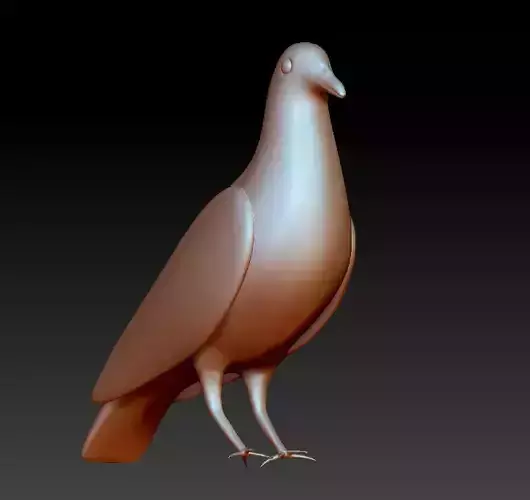 Dove 3D print model pigeon