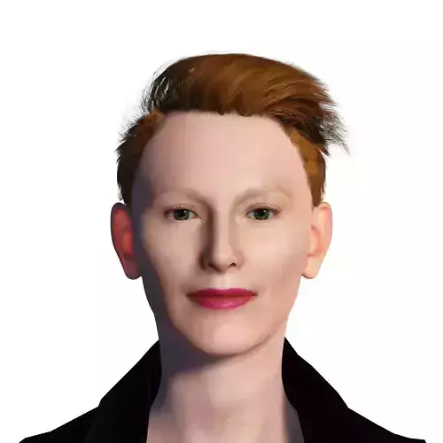 Tilda Swinton 2 3D Rigged model ready for animation Low-poly 3D model