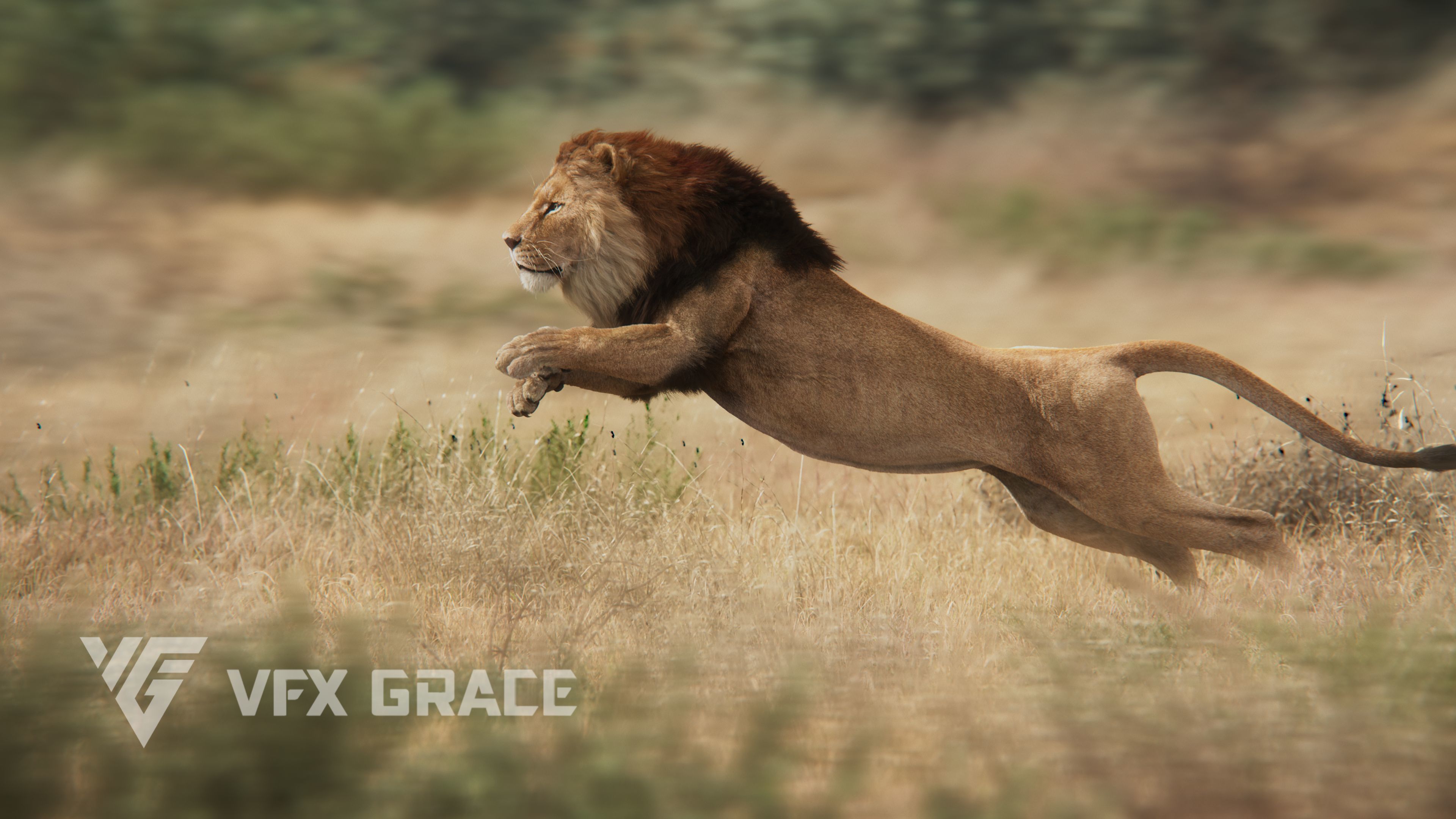 Male Lion Animated VFX Grace 3D model_6