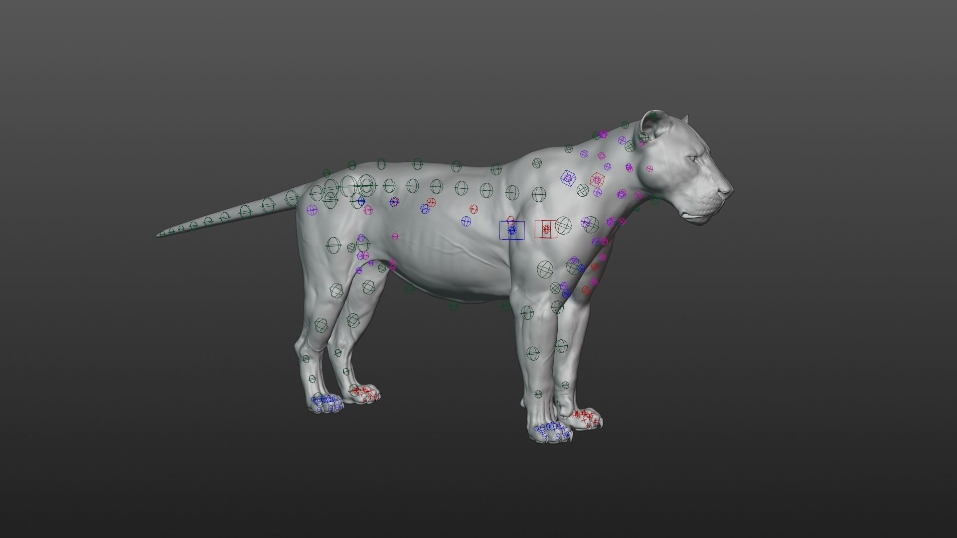 Male Lion Animated VFX Grace 3D model_25