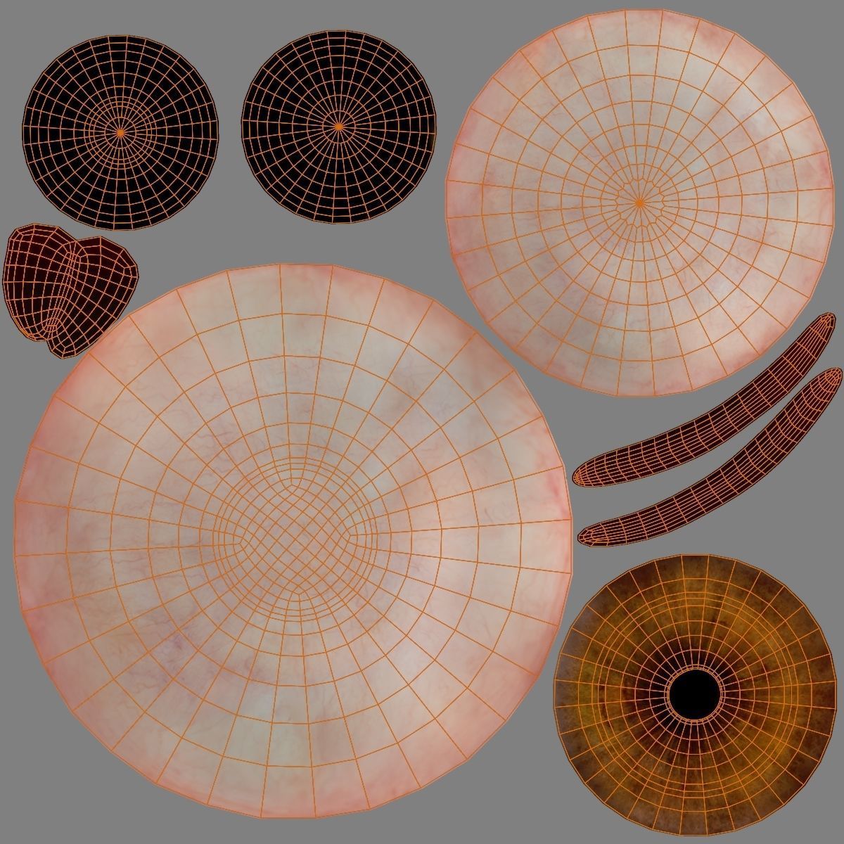 Male Lion Animated VFX Grace 3D model_32