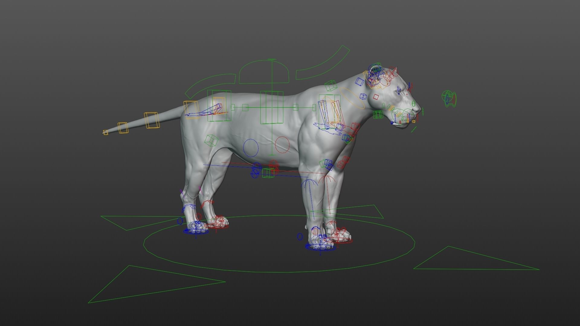 Male Lion Animated VFX Grace 3D model_22