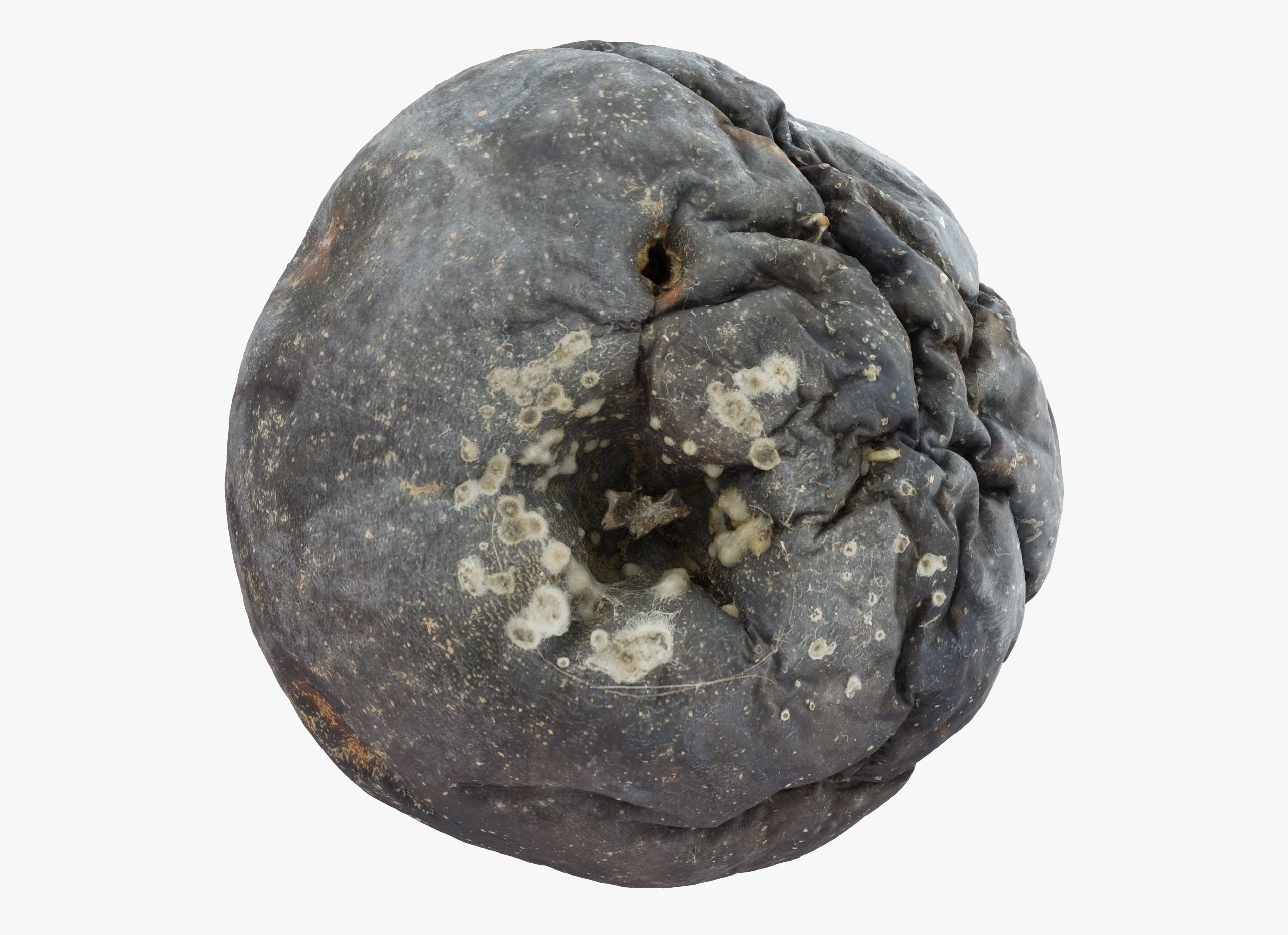 Rotten Apple Low-poly 3D model_4