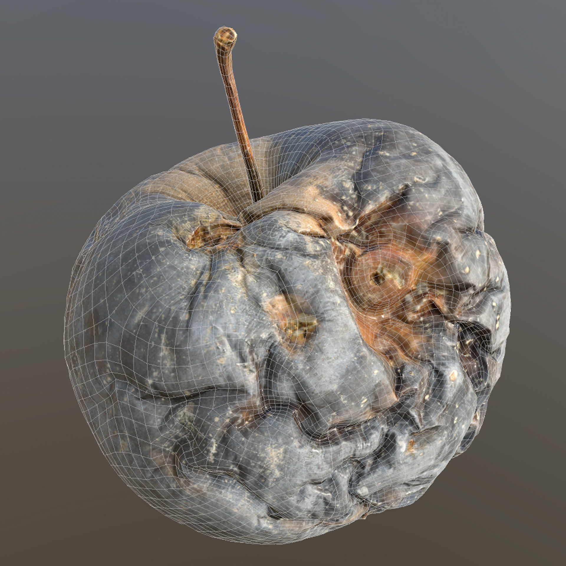 Rotten Apple Low-poly 3D model_8