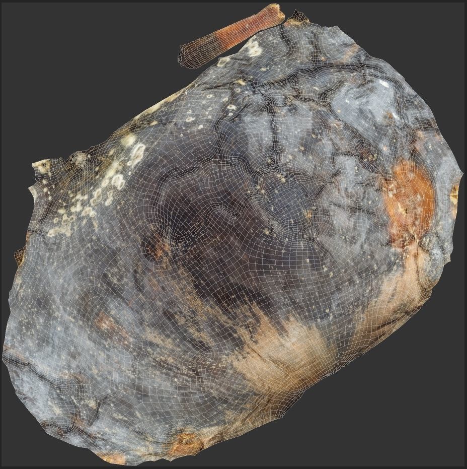 Rotten Apple Low-poly 3D model_9