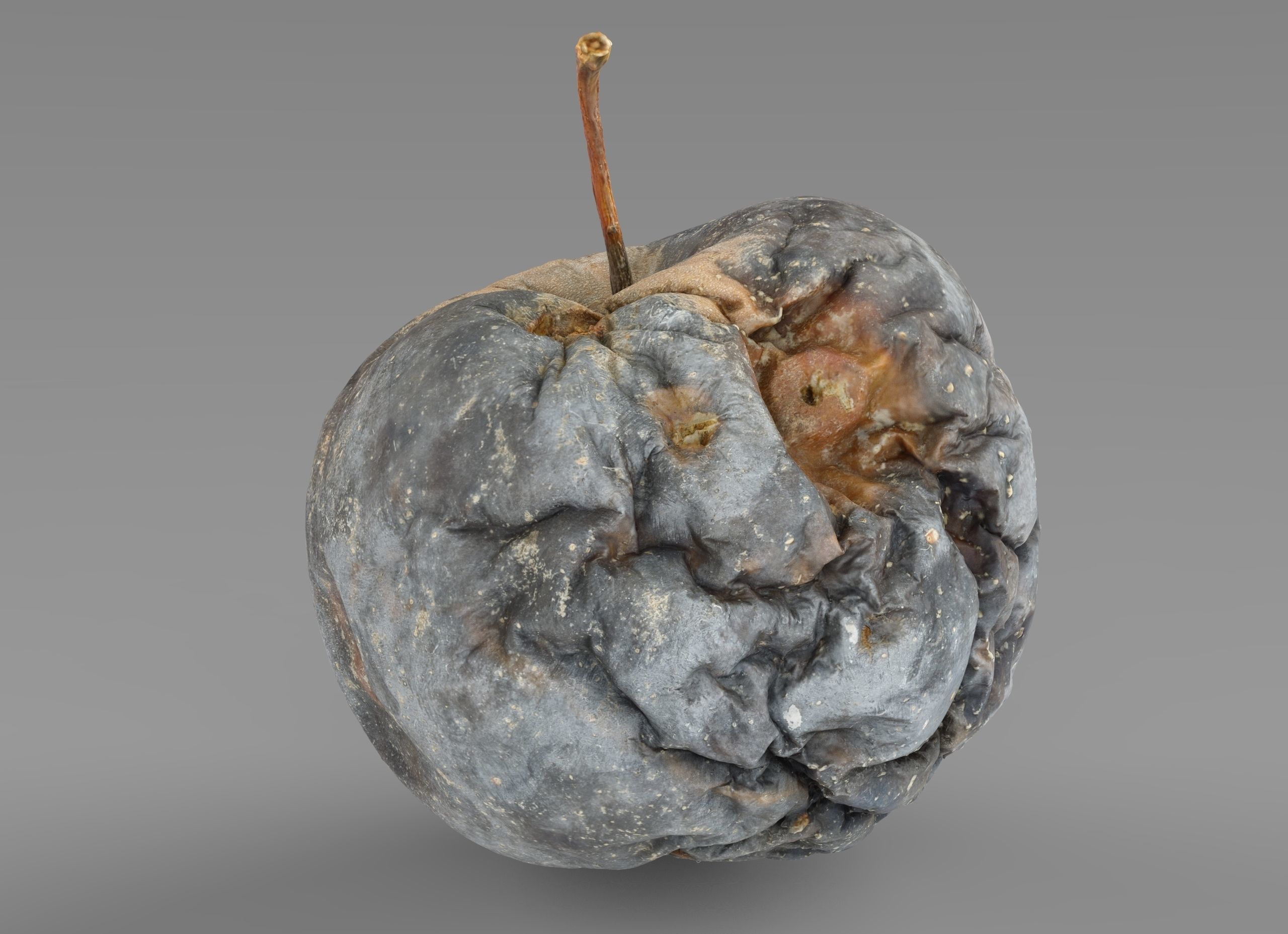 Rotten Apple Low-poly 3D model_3