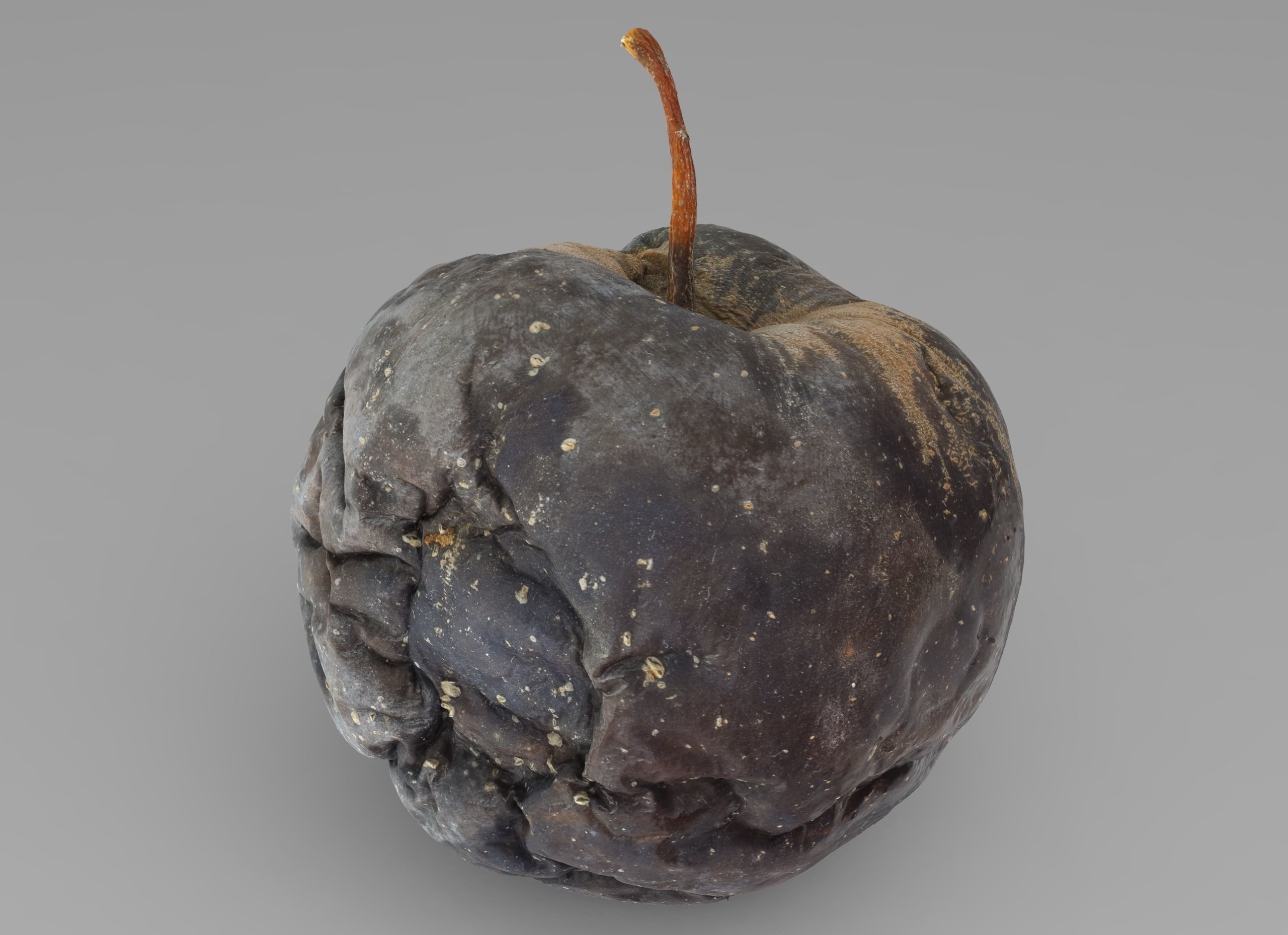 Rotten Apple Low-poly 3D model_2