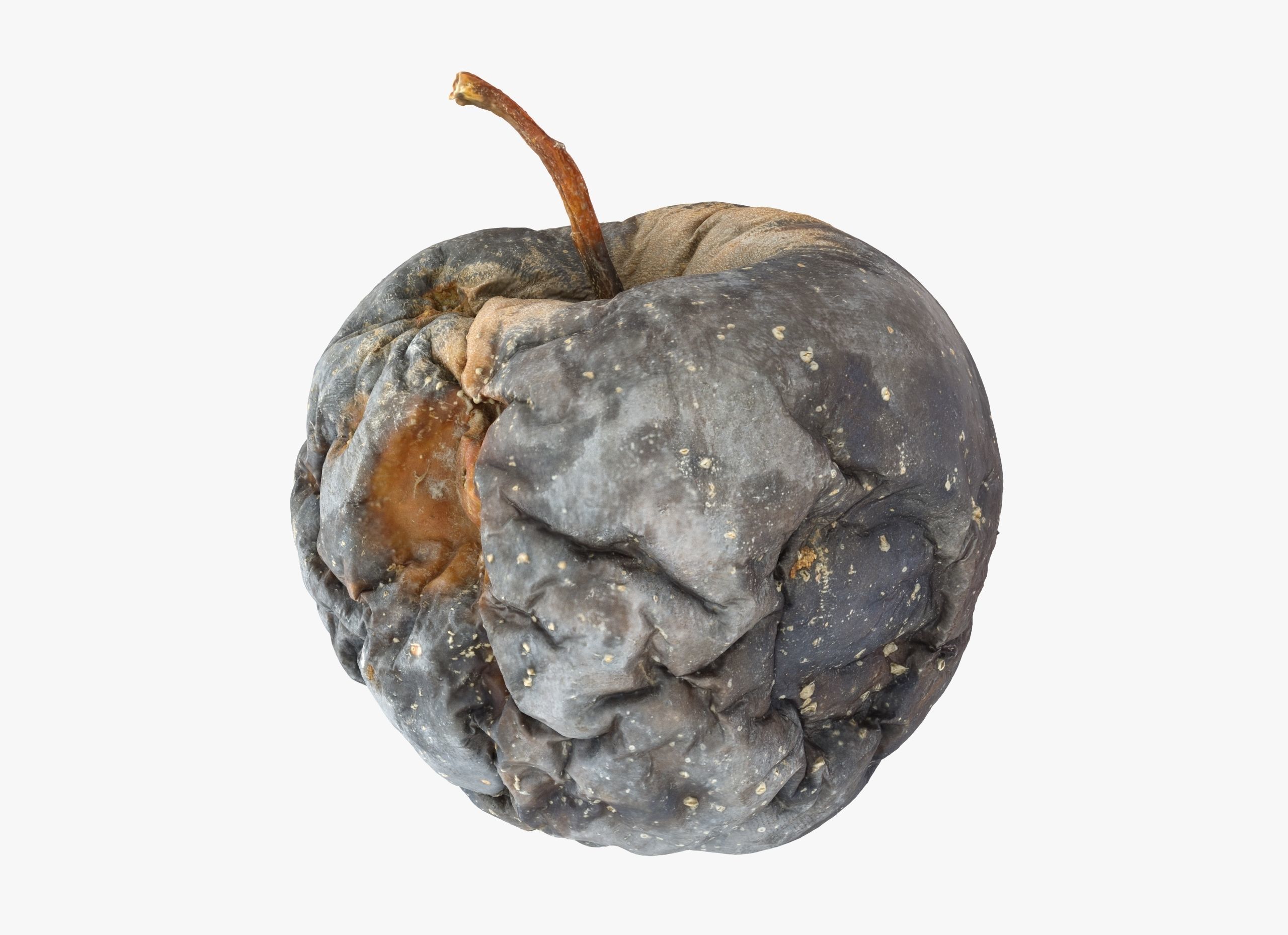 Rotten Apple Low-poly 3D model_5