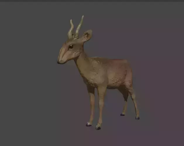 Central Asian wild animal Saiga antelope