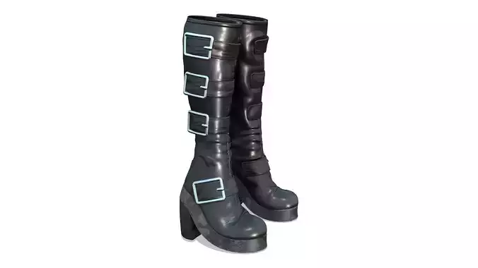 Chunky Heels Buckled Straps Mid-Calf Boots