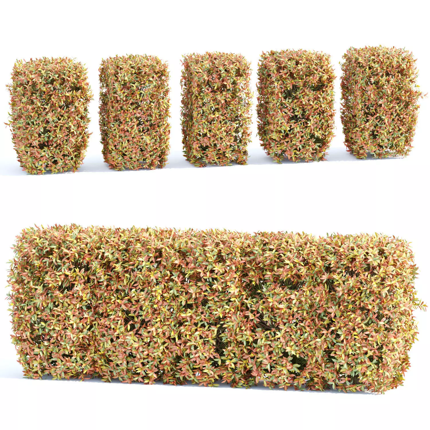 Colorful autumn bushes collection vol 148 3D model_0