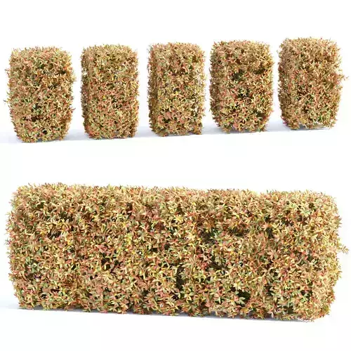 Colorful autumn bushes collection vol 148 3D model