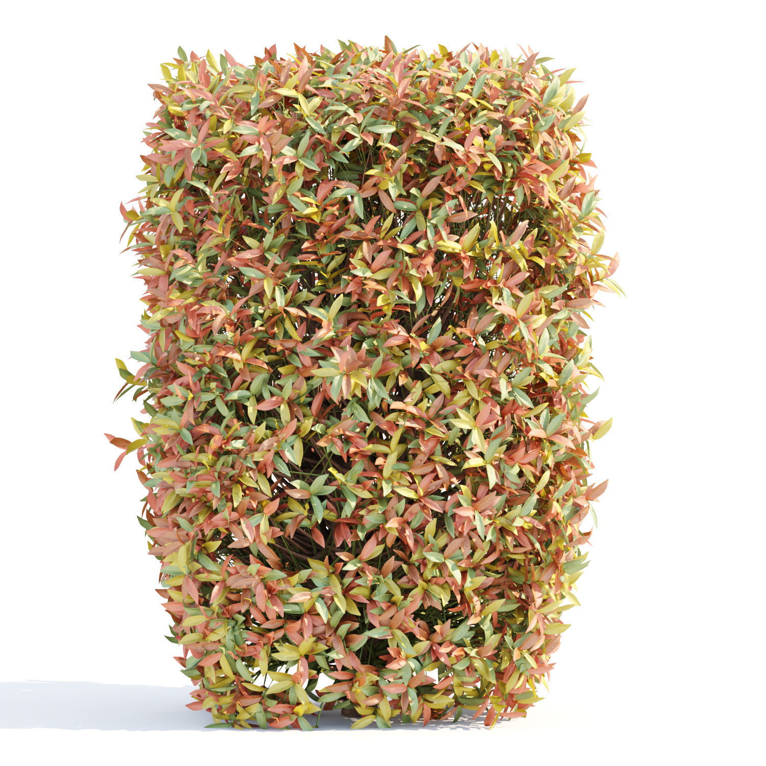 Colorful autumn bushes collection vol 148 3D model_1