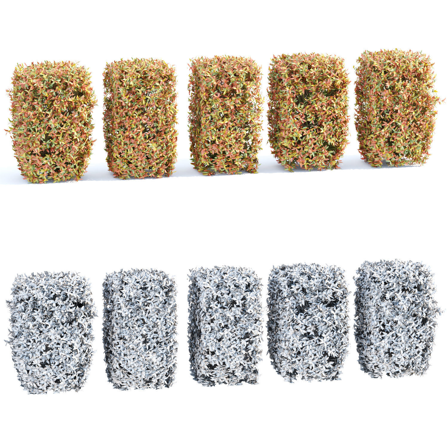 Colorful autumn bushes collection vol 148 3D model_4