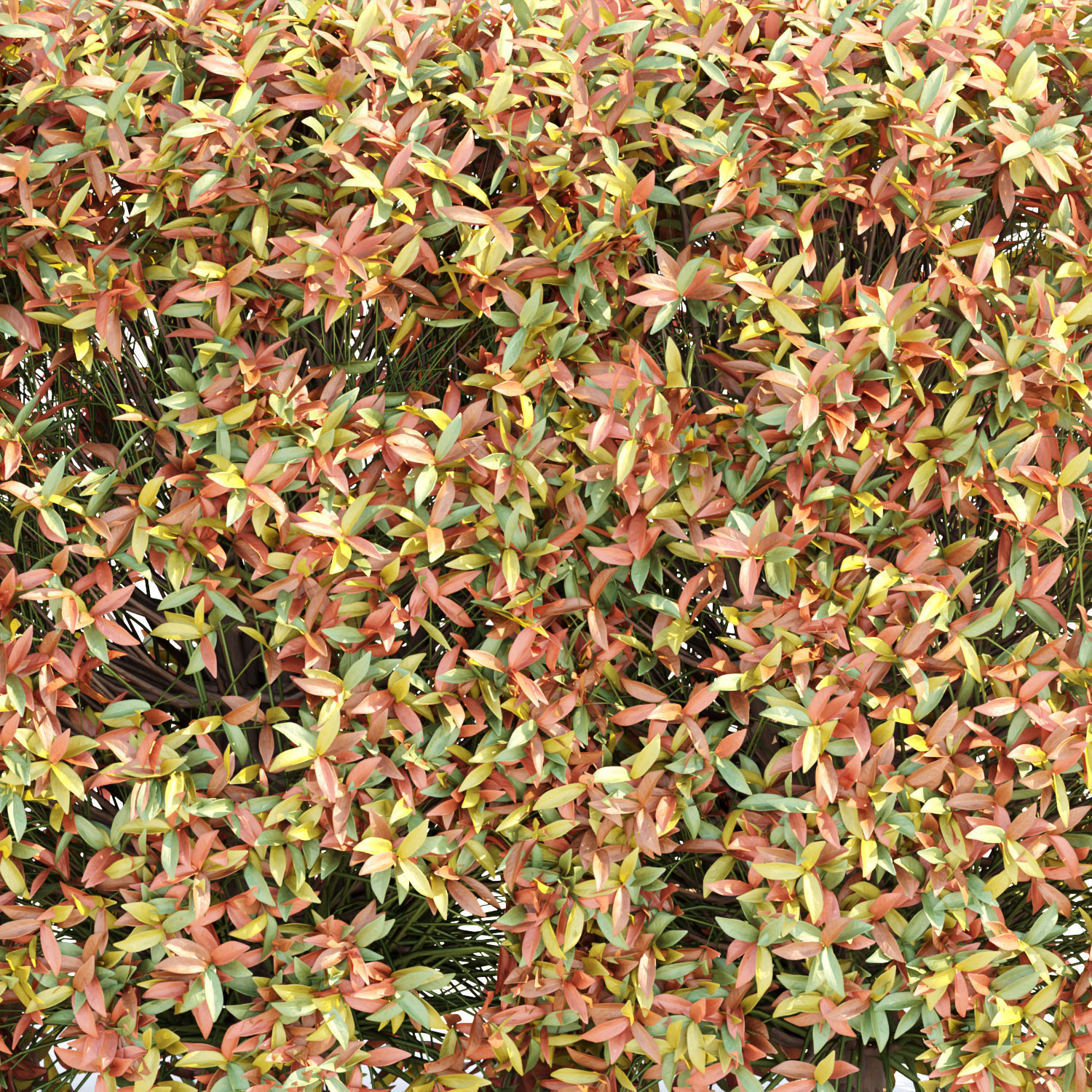 Colorful autumn bushes collection vol 148 3D model_3