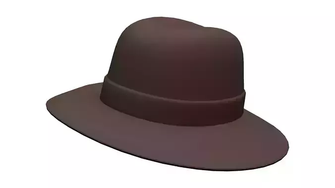 Dark Brown Fedora Hat