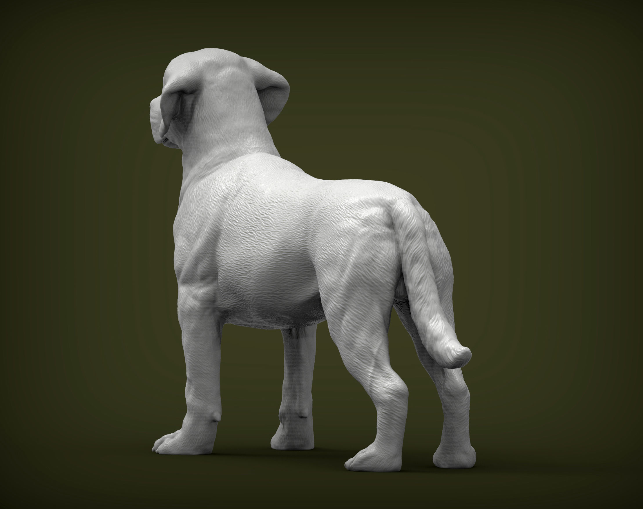 Labrador  3D print model_2