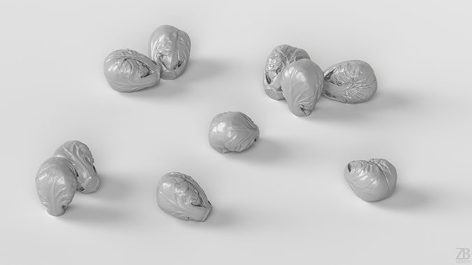 Brussels Sprout 3D model 4