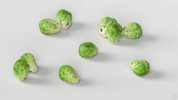 Brussels Sprout 3D model 3