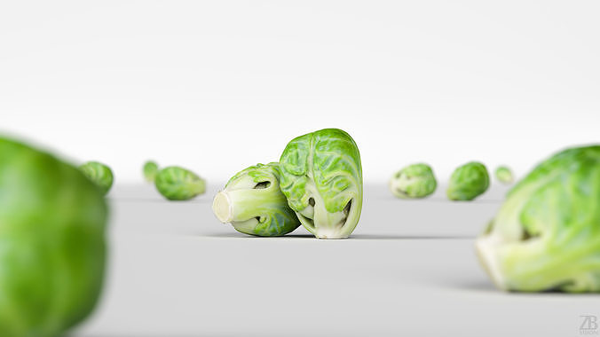 Brussels Sprout 3D model 2