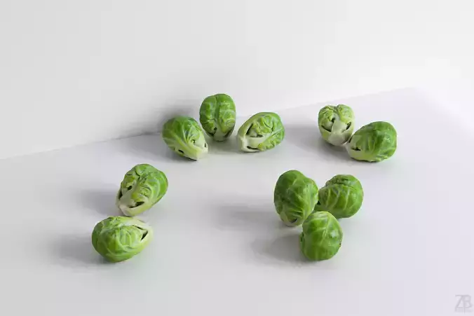 Brussels Sprout 3D model