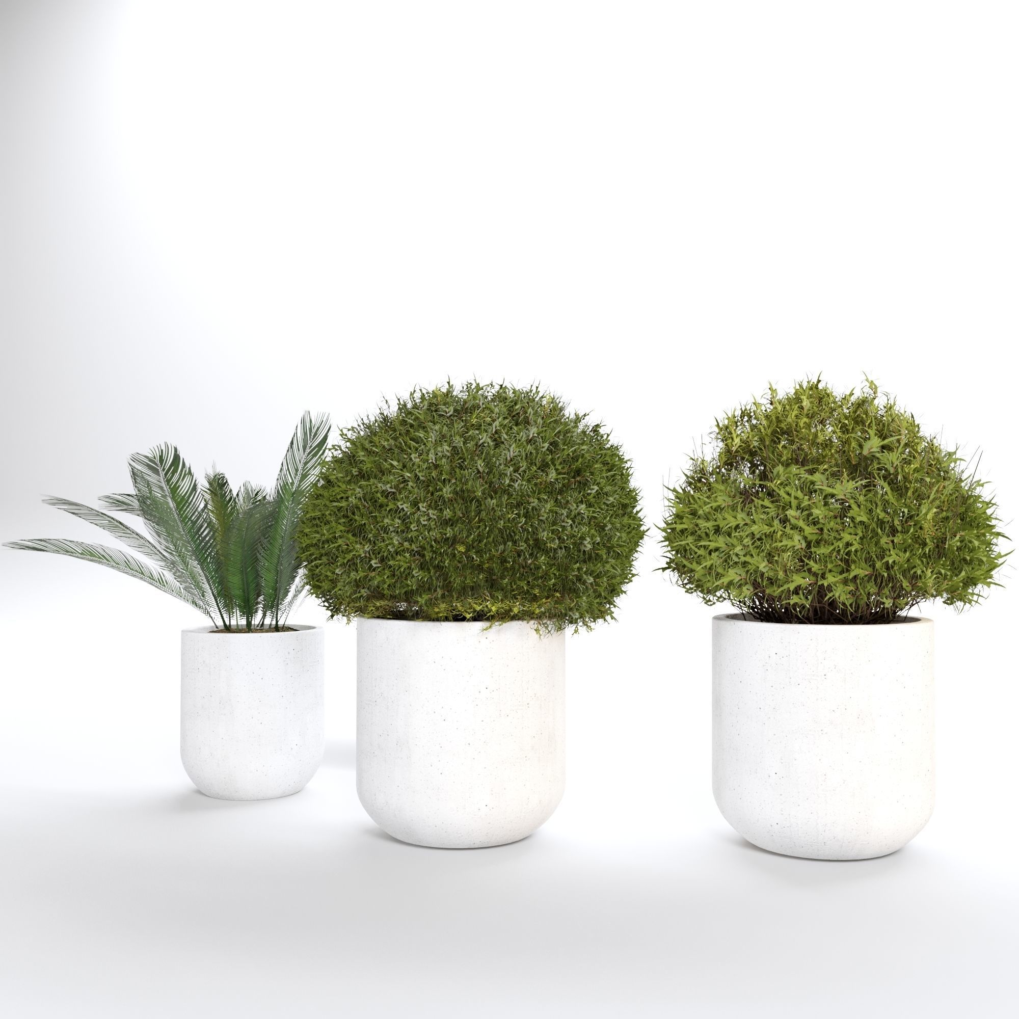 Indoor Plant 03 3D model_3