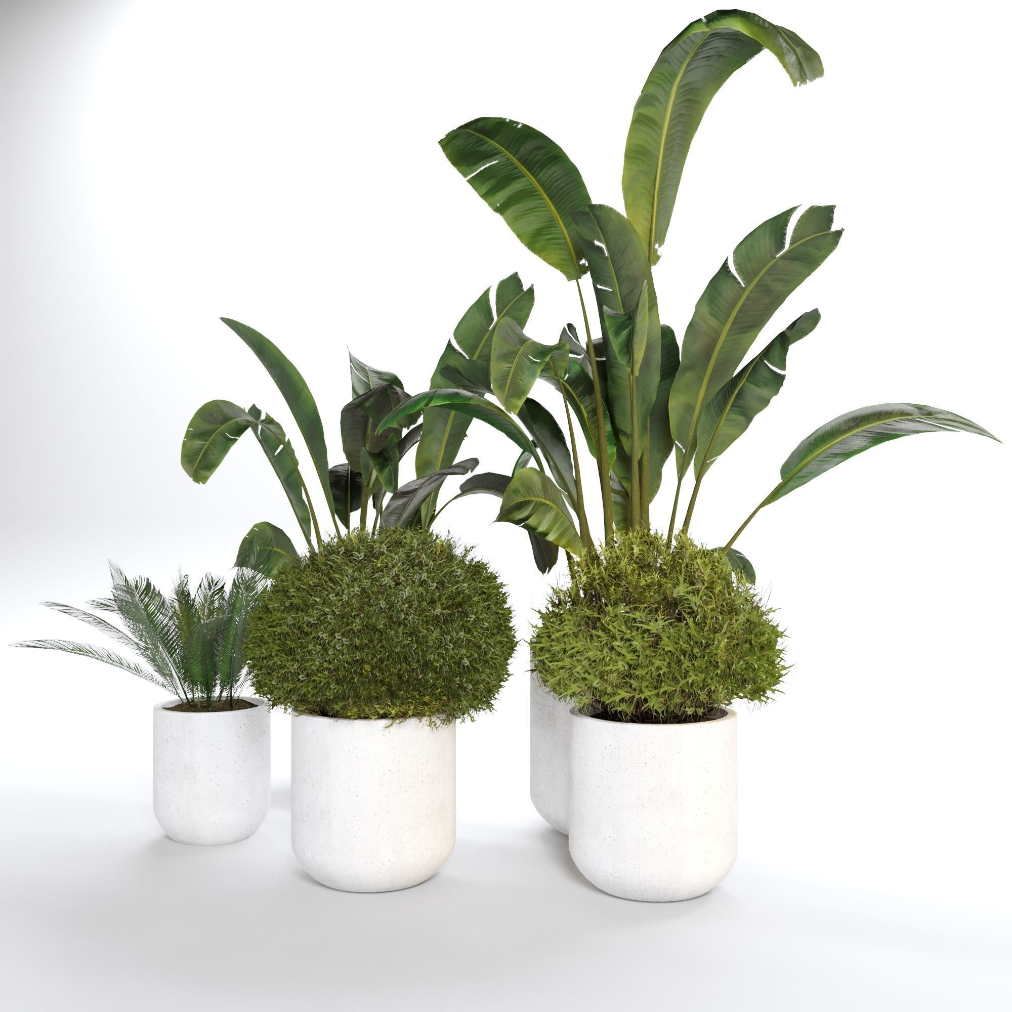 Indoor Plant 03 3D model_2