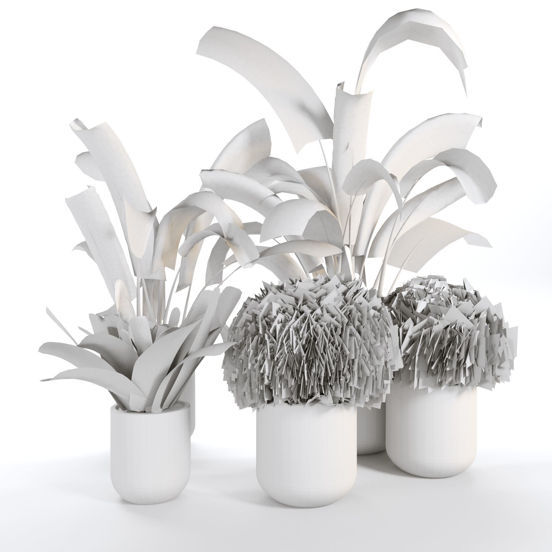 Indoor Plant 03 3D model_4
