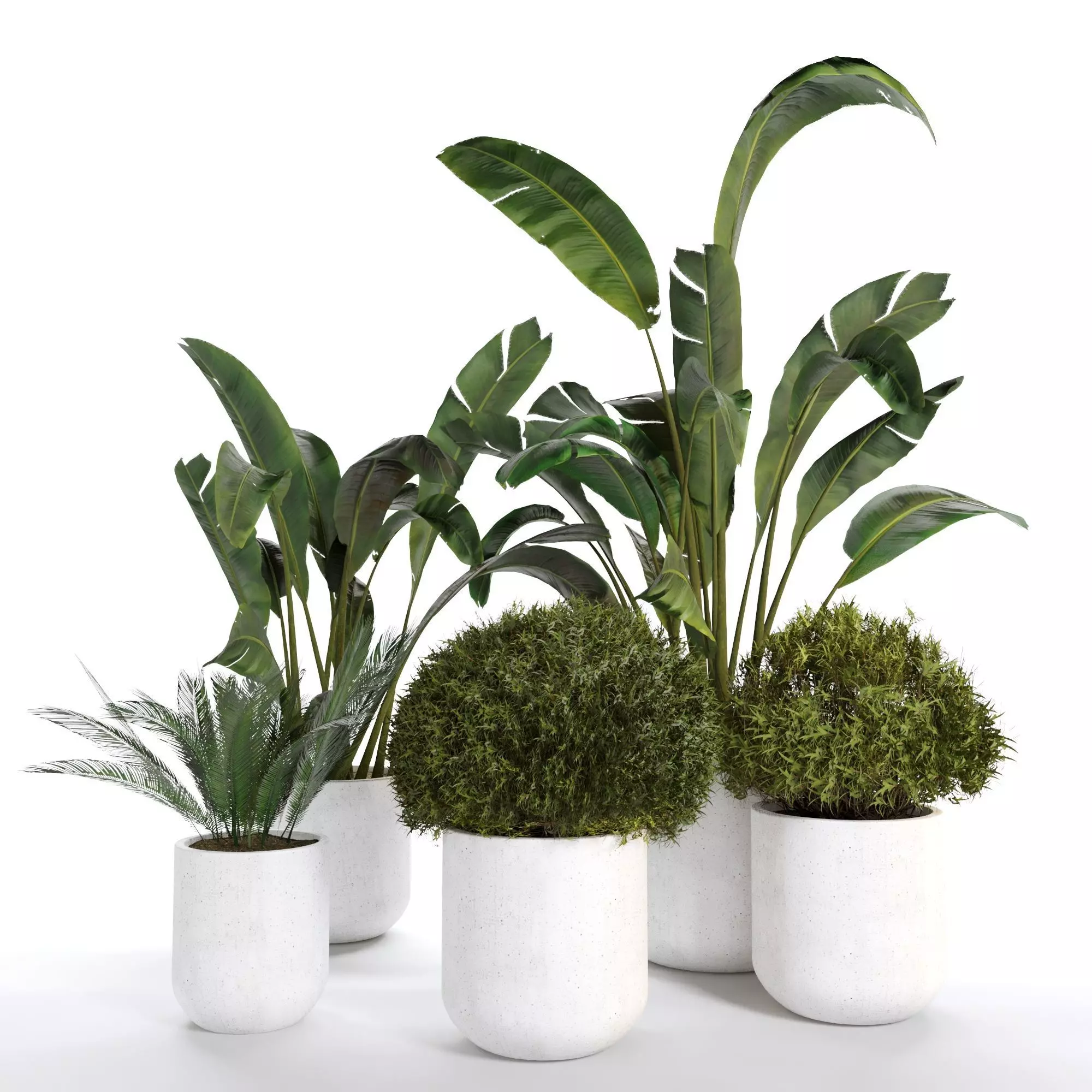 Indoor Plant 03 3D model_0