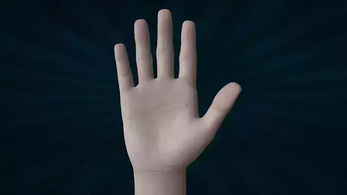 TSHR-001 Rigged right hand 3D model