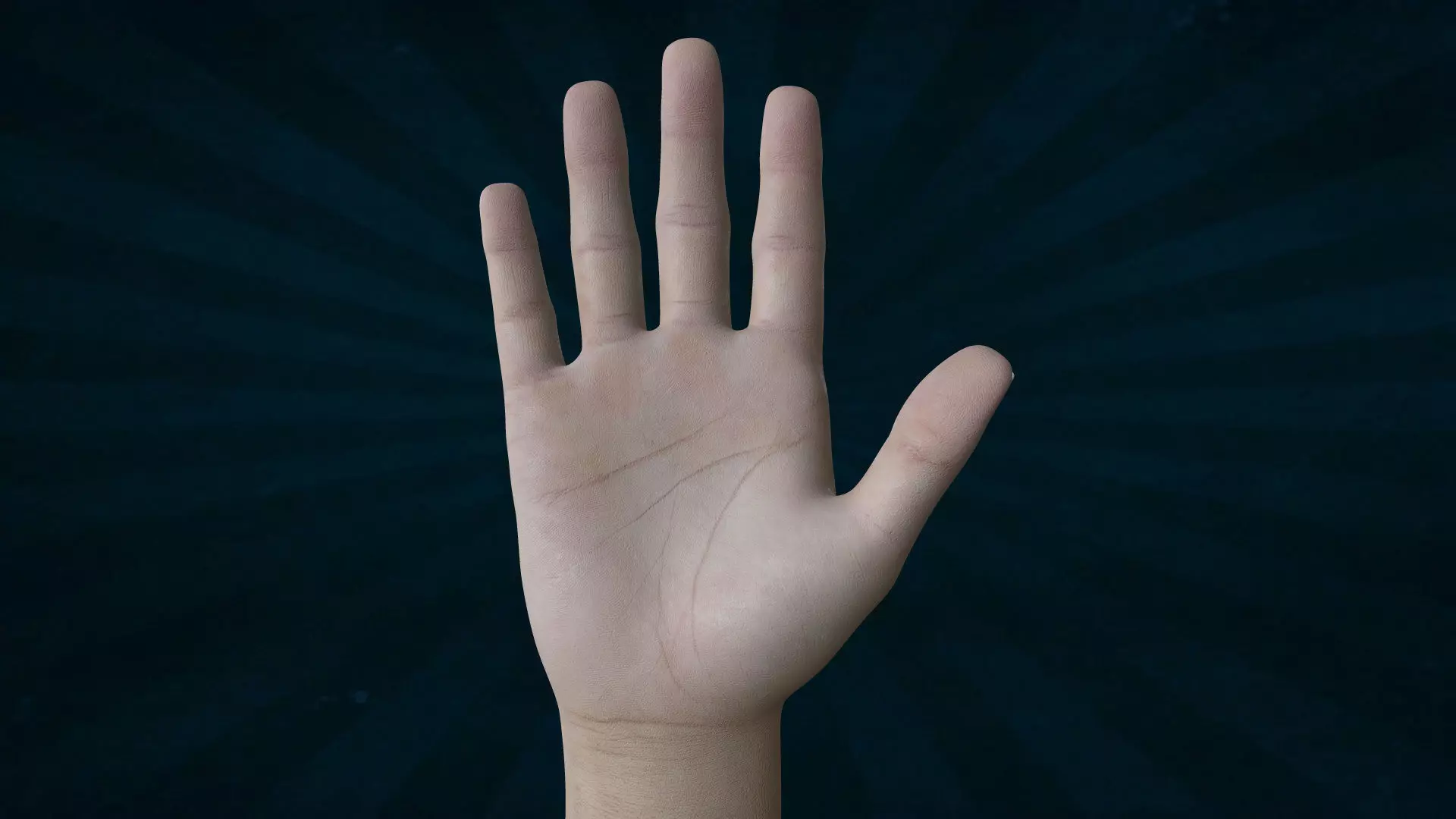TSHR-001 Rigged right hand 3D model