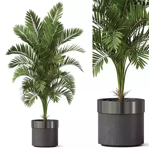 Plants collection 830 3D model
