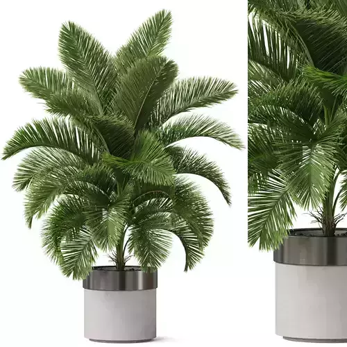 Plants collection 832 3D model