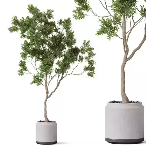 Plants collection 837