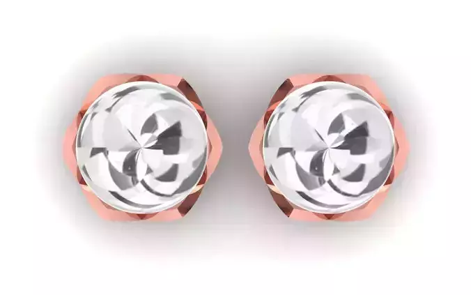 Women Earrings 3dm STL  OBJ FBX Renders Details