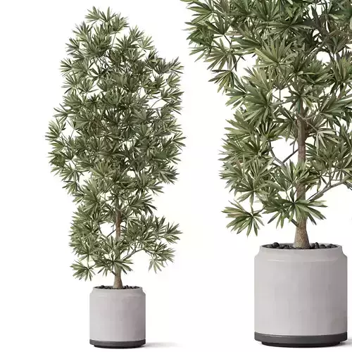 Plants collection 840